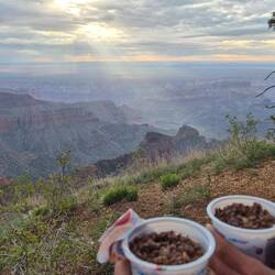 Frühstück mit Aussicht und extra schönem Licht