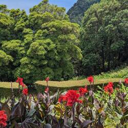 Miradouro da Ponta da Madrugada