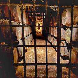 Sandeman Cellar