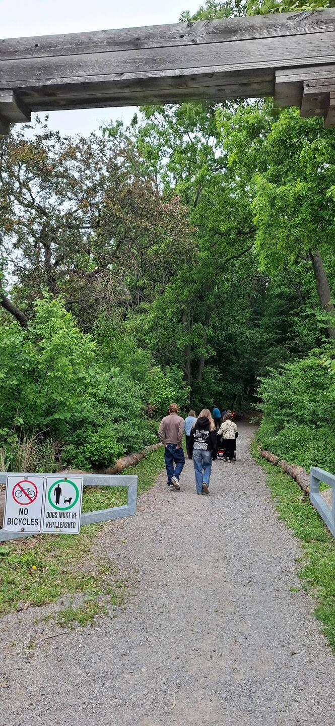 Spaziergang im nahe gelegenen Wald