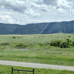 Montana...