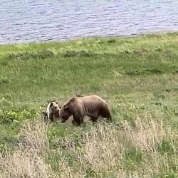 Vom sicheren Van aus 😍