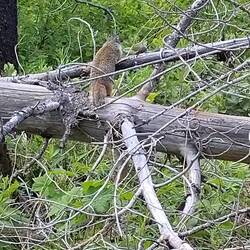 Und ich hab lange nach nem Vogel Ausschau gehalten ... 🥴