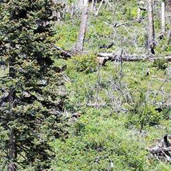 Sieht weit weg aus ... fühlt sich aber ziemlich nah an 😳