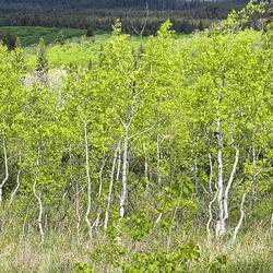 Auf dem Camping fast wie bei Nachbars ✌️😇