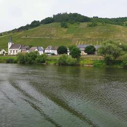 Mit der Bernkastel Kues nach Bernkastel Kues, knapp 2 Stunden von Trittenheim.