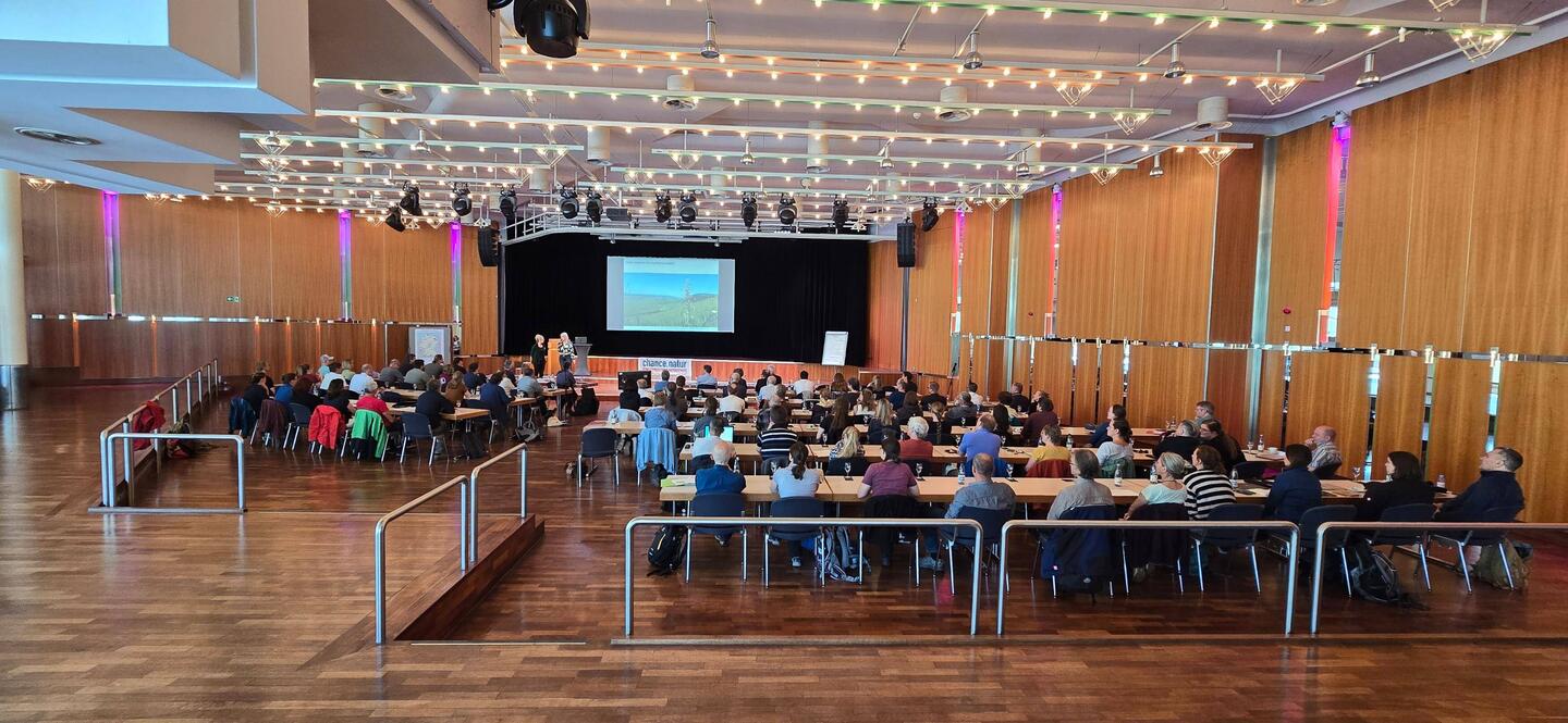 Vortragssaal des NGP Workshops