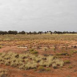 Well being labyrinth- we walked it