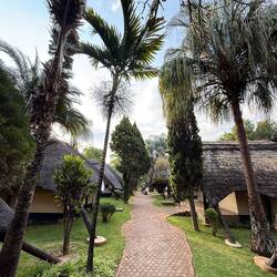 Sandys Lodge in Lusaka. One-Night-Camp auf dem Weg zu den Viktoria Fällen.