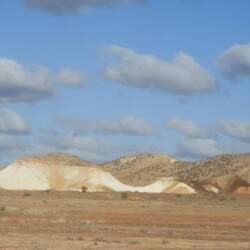 Camel laying down