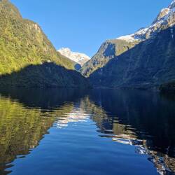 Doubtful sound at the silent spot