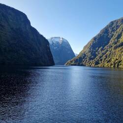 Doubtful sound