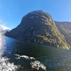 An island in Doubtful sound