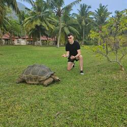 🐢 Fridolin