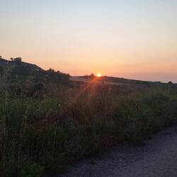 Up before the sun again today
