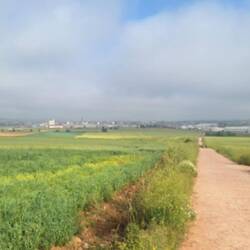 Approaching Santo Domingo de la Calzada