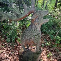 In het bos zijn alle voorkomende dieren in hout gesculpteerd.