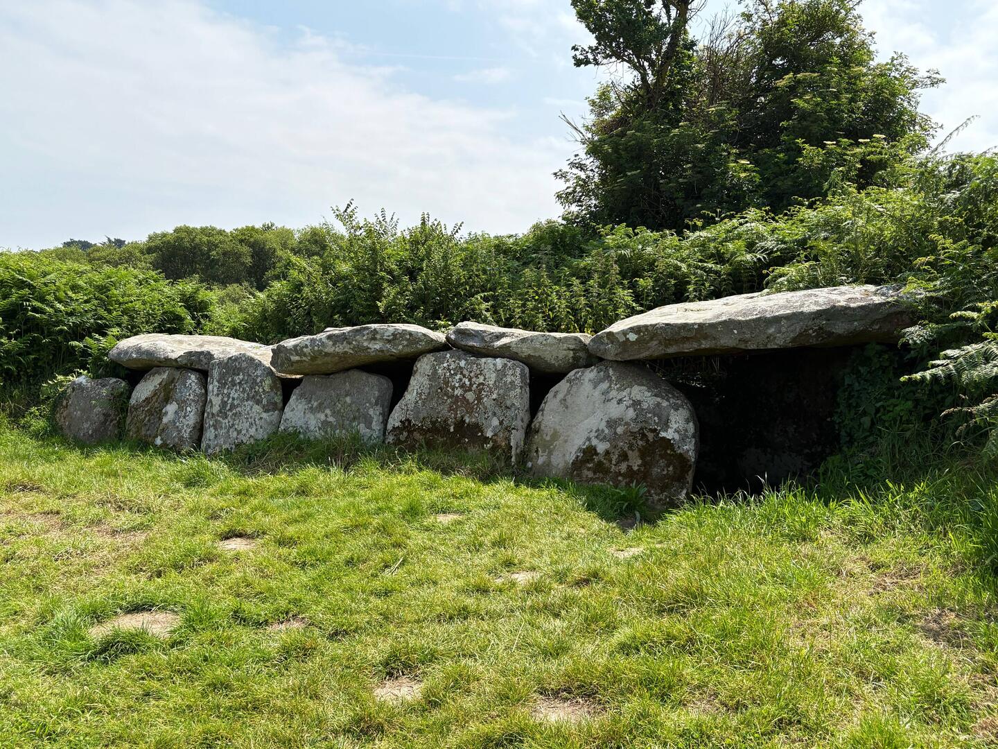 Allée Cuverte de Kerguntuil