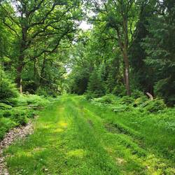 Hier schließt sich der Kreis.