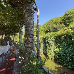 Und im Bach nebenan haben wir schon Würfelnattern gesehen