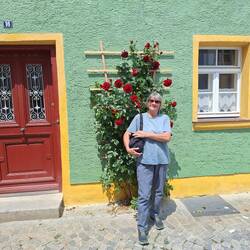 Wieder so schöne Rosen 🌹 🌹