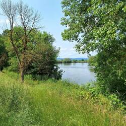 Blick auf die Donau