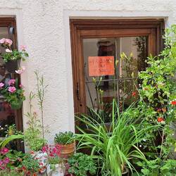 Wer Blumen klaut ist böse - wie wahr!