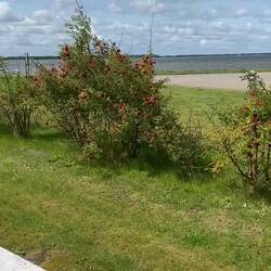 Dieses Geräusch ist unser täglicher Begleiter,Wind,Wind, und nochmals Wind🙁😟😢