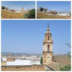 Views from the university