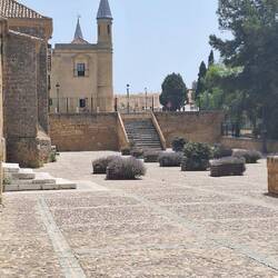 The side of the Collegiate