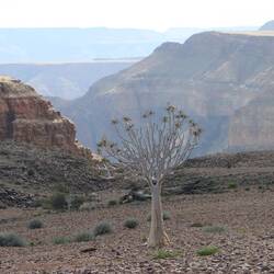 ...denen die Winterkälte offenbar auch nichts ausmacht