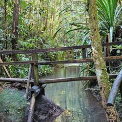 Some of the stairs and a bridge along the trail.