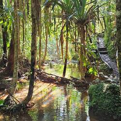 Typical view along the trail.