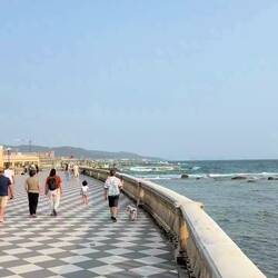 Video of the coastline and promenade
