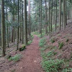 Angenehme Atmosphäre...