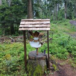 Die Zapfen dabei sind witzig