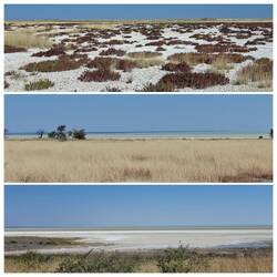 Beeindruckende Landschaft