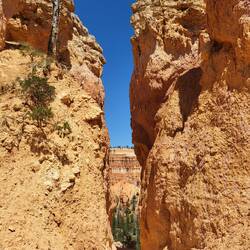 Was sich hinter diesem schmalen Durchgang wohl versteckt?