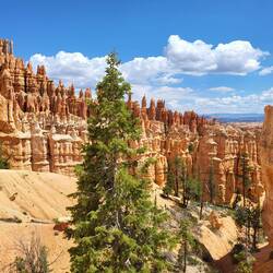 ...aber nicht mehr viel