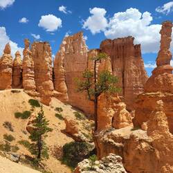 Oder das hier? Wie dem auch sei, es war schön, schön und schön, egal wohin wir schauten!