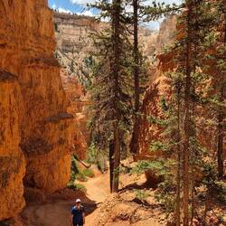 Und dann ging es auch wieder hoch