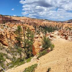 Wir wissen es ehrlich gesagt nicht mehr genau, eventuell das hier...