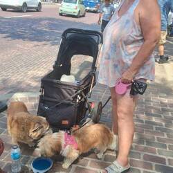 Es ist unerträglich 🔥