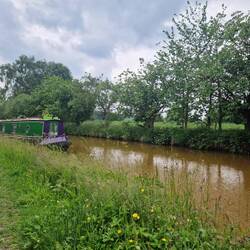 Opposite the cow field