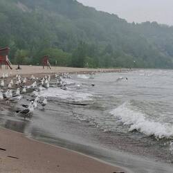 Bluffers beach