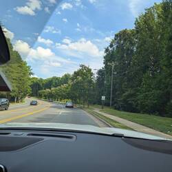 So many beautiful trees!