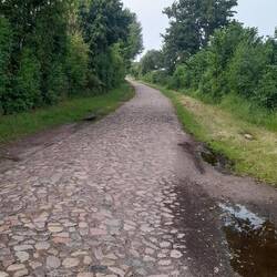 Die Salzstrasse nach Lübeck