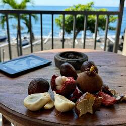 Autre chambre bord de mer, à l'étage cette fois avec vue toujours phénomènale + piscine, 17€ la nuit