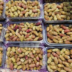 Mulberry season was in full swing!