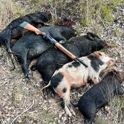 My Haul from One Drive